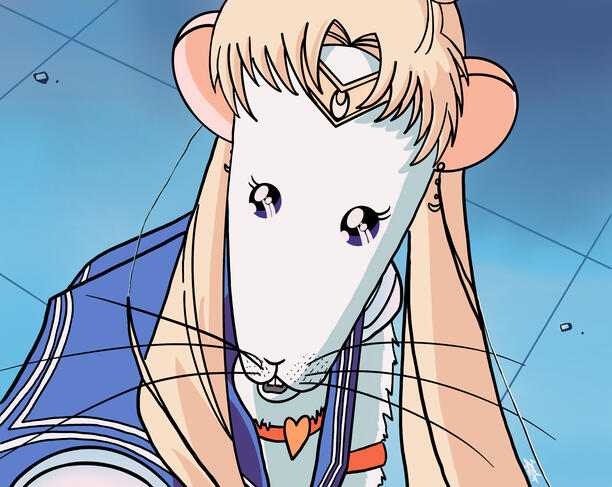 Sailor Moon Rat